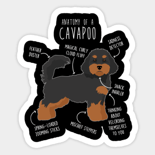 Black and Tan Cavapoo Dog Anatomy Sticker